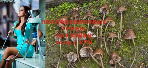 mdpv Белокуриха