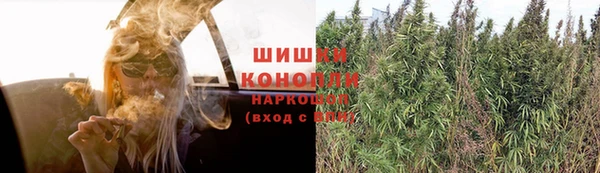 крисы Богданович